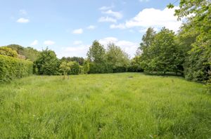 Photo 30- click for photo gallery